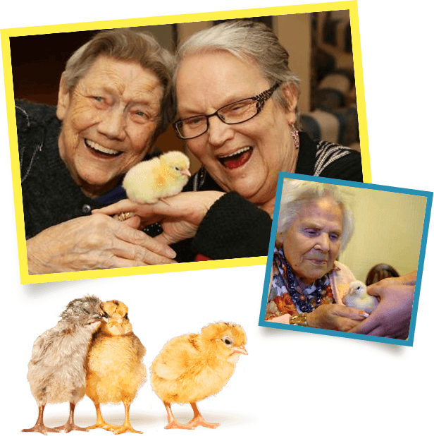 Care-homes page image